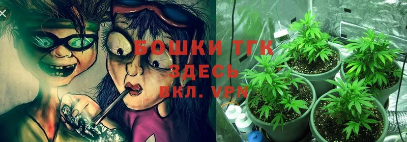 Бошки Шишки Ganja  Рассказово 